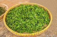 探索中国绿茶的丰富品种