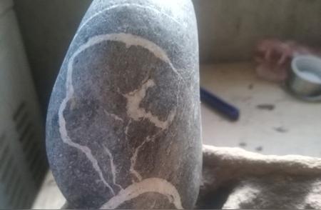 揭秘蛇纹石：贾大哥的61元奇石竟价值431万！