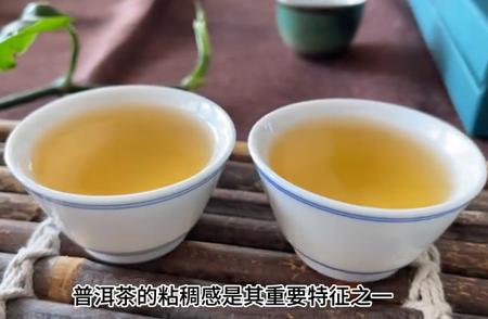 普洱茶粘稠感解析：成因与品鉴