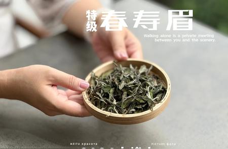 新手必试：性价比高的白茶推荐