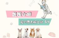 辟谣！只有中华田园犬才被称为土狗？国产犬种丰富，但生存环境堪忧