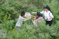 花果山村的崛起：野生动物考察与科普夏令营