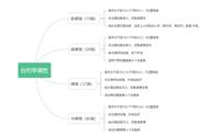 如何选择适合新手的大物鱼竿：一份性价比高的推荐指南