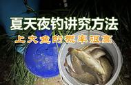 夏季野外夜钓：如何选择最佳钓点和钓位？