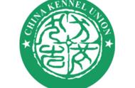 解密国内三大犬种管理机构：CKU、NGKC与CNKC