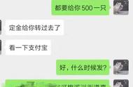 全面解析：开一家宠物店需要多少钱？