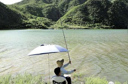 揭秘浮漂上顶下沉真相，钓鱼高手来揭秘