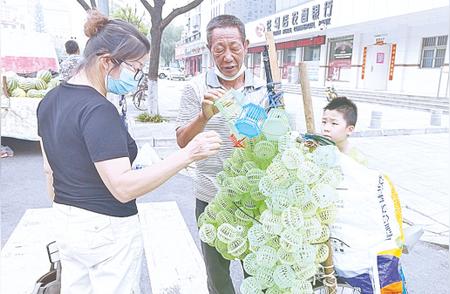 街头蝈蝈叫，回忆中的旋律