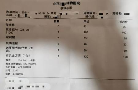 揭秘宠物医疗行业巨额亏损背后的真相