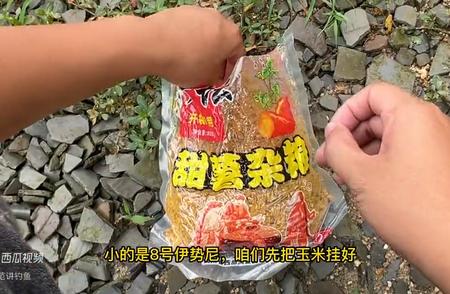 夏季钓草鱼：鱼钩大小有讲究