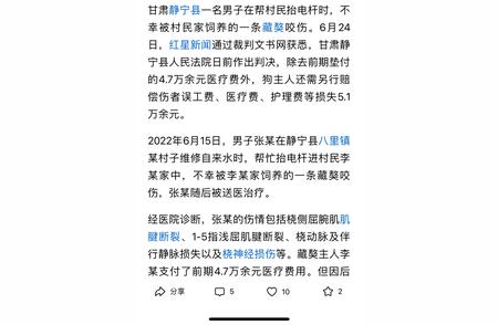 甘肃藏獒失控咬伤路人，事件引发社会关注