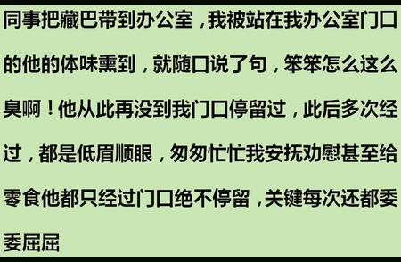 揭秘狗狗智商真相：你家的宠物到底有多聪明？