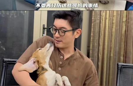 霍思燕夫妇收养特殊比格犬，背后故事引人深思