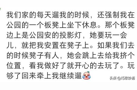 探索边牧的神秘面纱——你真的适合养边牧吗？