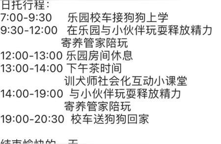 狗狗也上幼儿园？学‘装死’课程太有趣了吧！