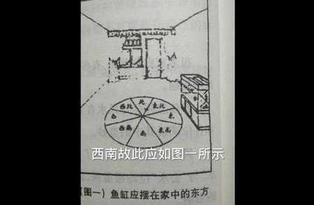 养鱼风水指南：养几条鱼最吉利?