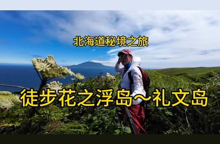 北海道秘境之旅：探索鲜为人知的礼文岛之美