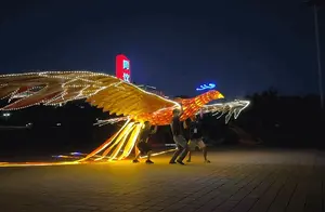 武汉夜景：凤凰舞动，城市之光闪耀长空