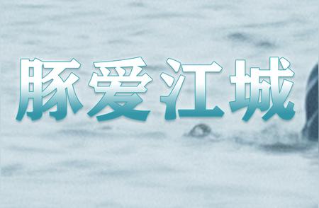 独家揭秘：江豚淘淘家族新成员诞生纪实