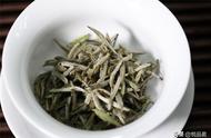 白毫银针：绿茶的一员还是其他茶类？