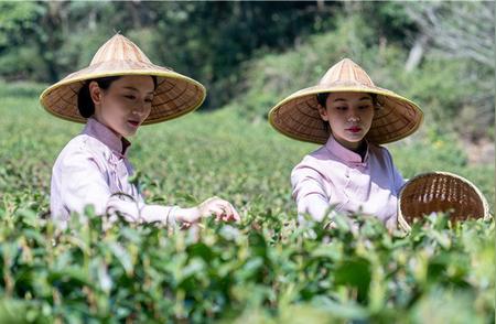 杭州西湖龙井茶文化节：品味独特的茶艺盛宴